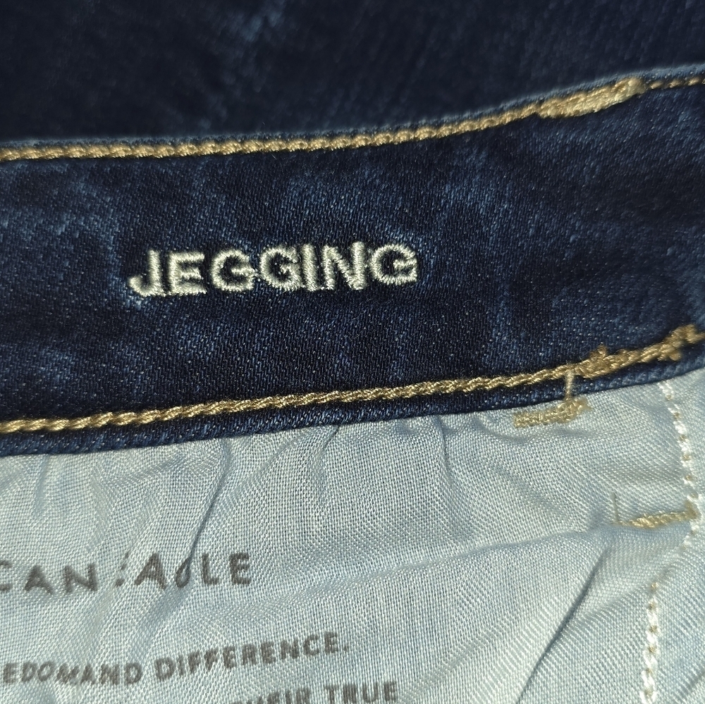 American Eagle Outfitters Dark Wash Ripped Jeggings Size 14 Short - Picture 4 of 5